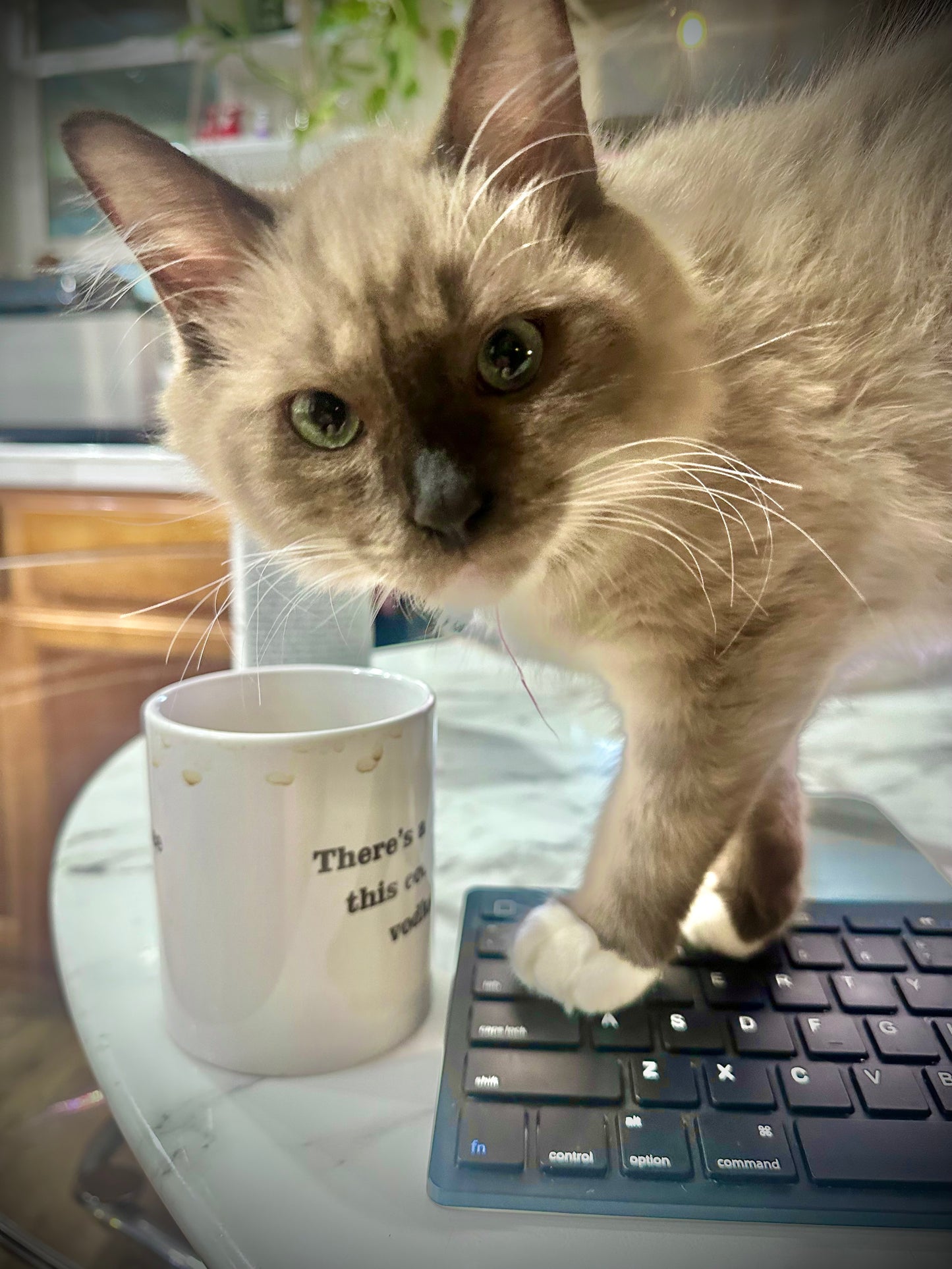 Iced Mocha - Female - UNAVAILABLE