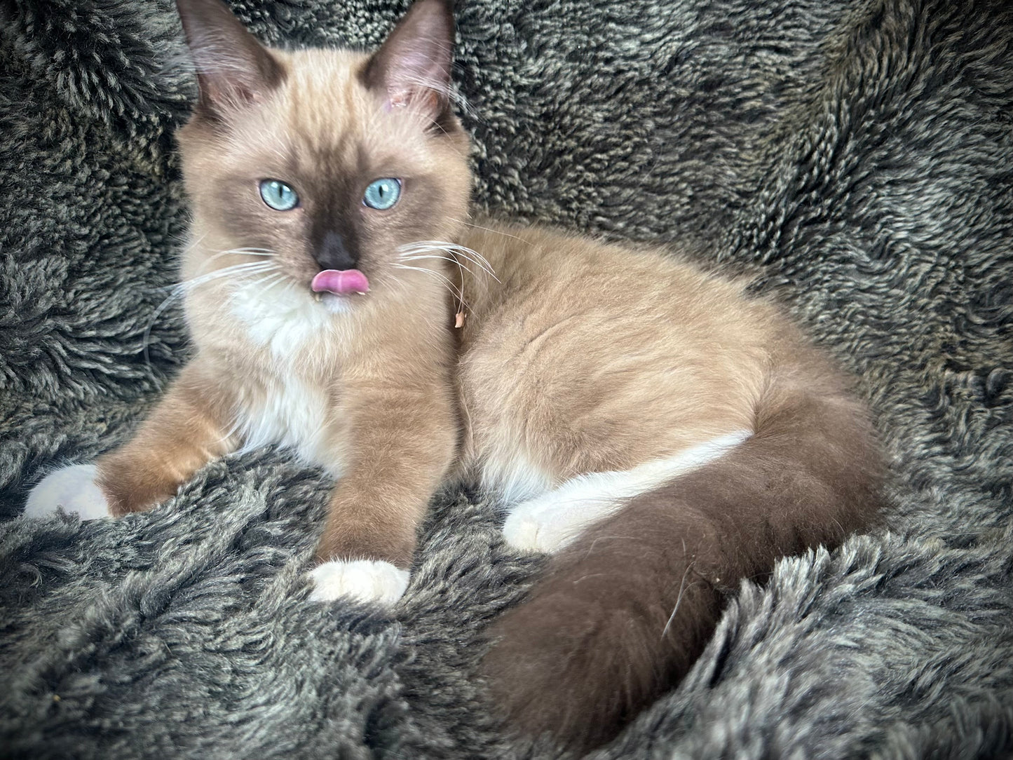 Iced Mocha - Female - UNAVAILABLE