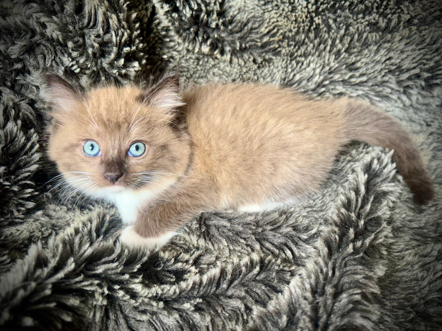 Milky Way - Female - UNAVAILABLE