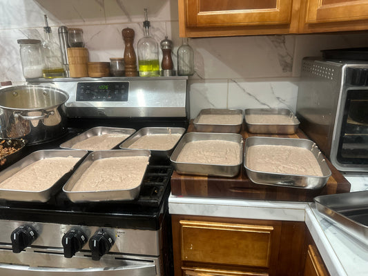 Homemade Kitten Food Recipie